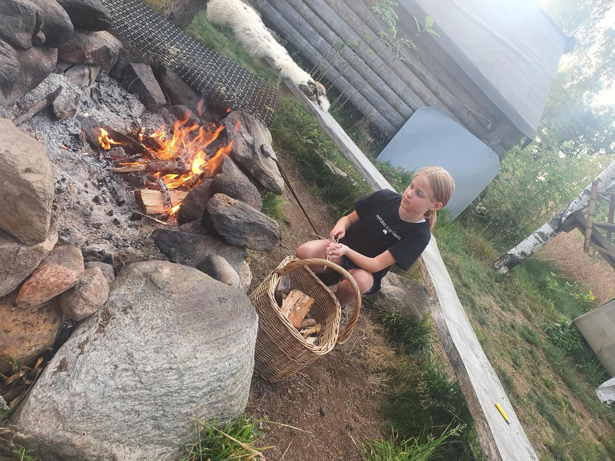 Vittfarnas Vikingaby Villa Sosdala Exterior foto